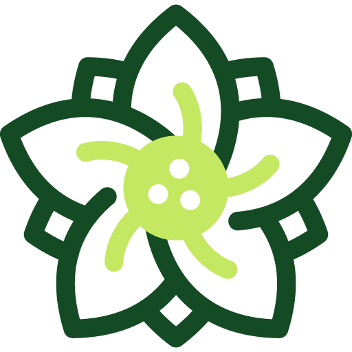 Project Icon
