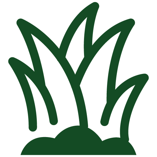 Project Icon