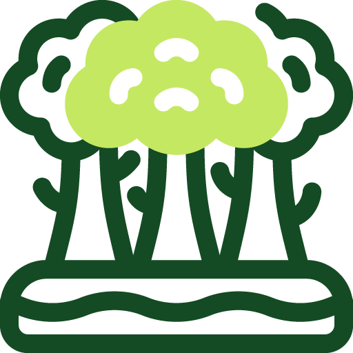 Service Icon