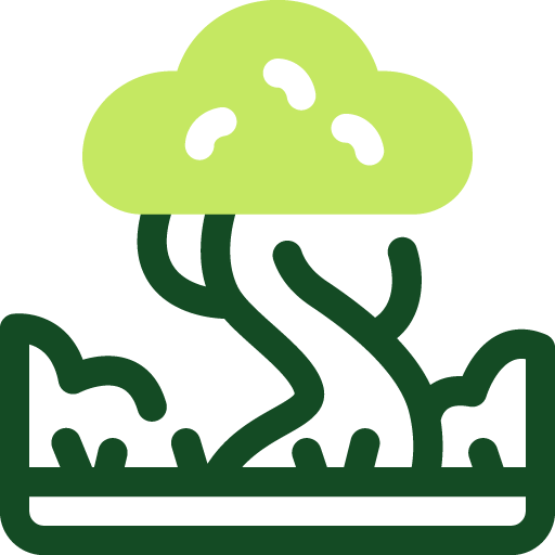 Service Icon
